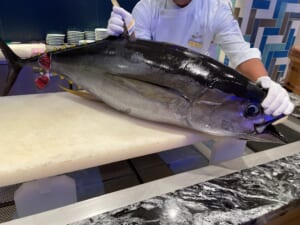 ルネッサンスリゾートオキナワ　寿司バーロイズ　マグロの解体ショー