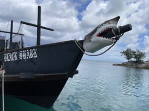ルネッサンスリゾートオキナワ　海賊船