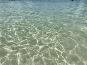 ルネッサンスリゾートオキナワ　ビーチの透明度