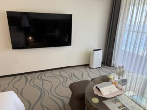 ルネッサンスリゾートオキナワ　フリッパーズルーム　TV